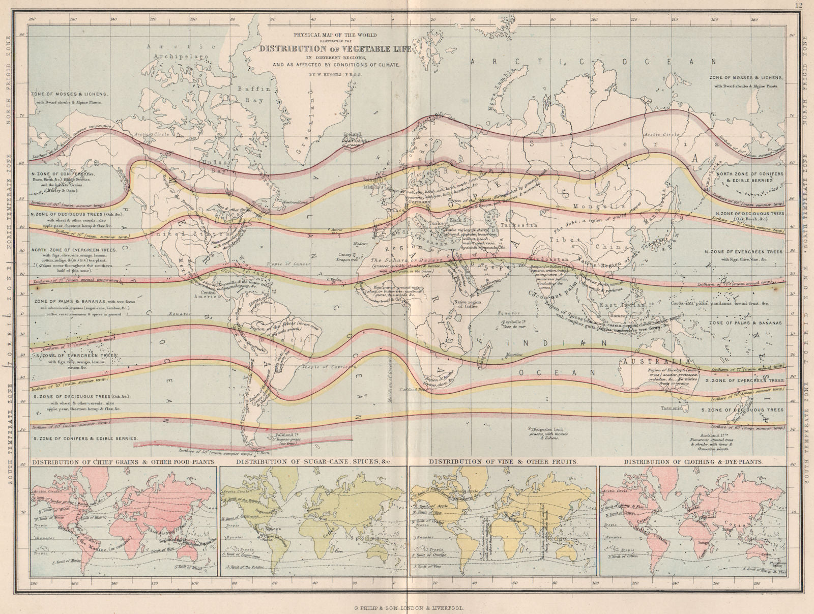 WORLD VEGETATION.Grain food plant;sugarcane,spice;vine fruit;cloth Dye 1886 map